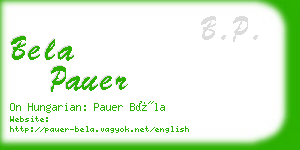 bela pauer business card